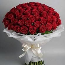 Букет 101 Красная роза Блэк Мэджик #REPLACE_PRED# Тереке