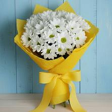 Букет цветов из:  Хризантемы в Тереке