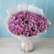 Букет цветов из:  Хризантемы #REPLACE_PRED# Тереке