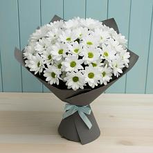 Букет цветов из:  Хризантемы в Тереке