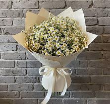 Букет цветов из:  Ромашки в Тереке