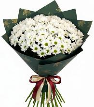 Букет цветов из:  Хризантемы в Тереке