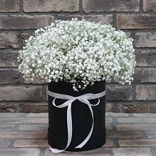Цветочная композиция из Гипсофила в шляпной коробке в Тереке
