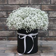 Цветочная композиция из Гипсофила в шляпной коробке в Тереке