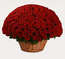 Премиум букет из: Розы в Тереке