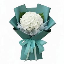 Букет цветов из:  Гортензия в Тереке